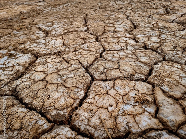 Obraz dry soil salt stains