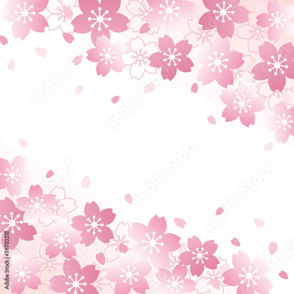 Fototapeta 桜　背景