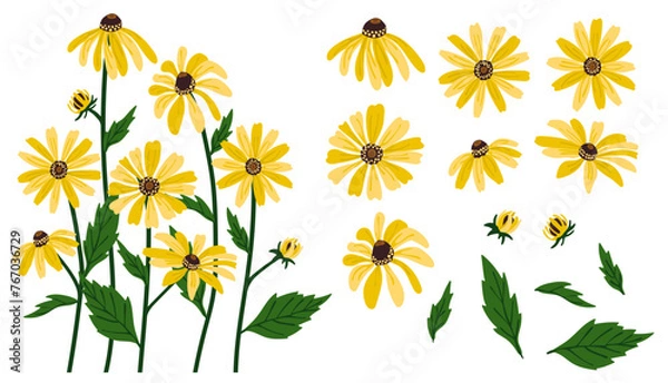 Obraz Black-eyed Susan flower background.Eps 10 vector.