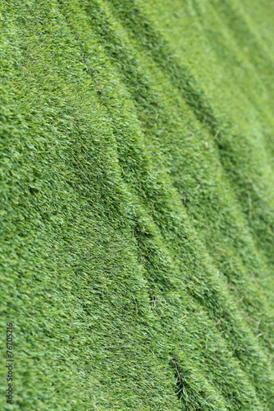 Fototapeta abstract grass texture background, artificial green grass