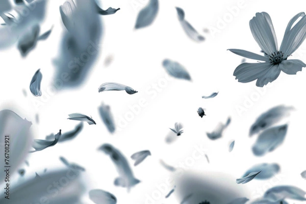 Fototapeta Blurry Petals Floating on Transparency