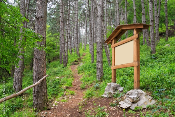 Obraz Forest footpath