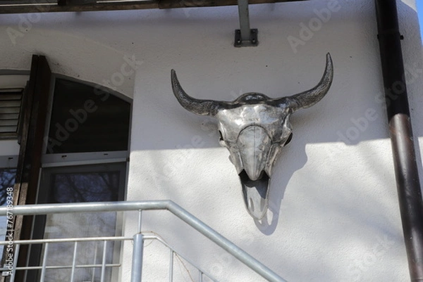 Obraz cow skull on the wall