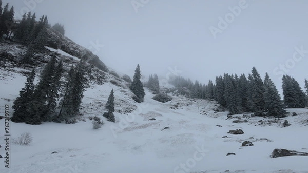 Obraz Schnee und Berge