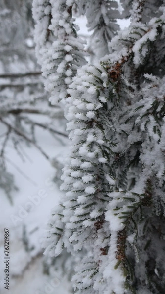 Obraz Schnee und Berge