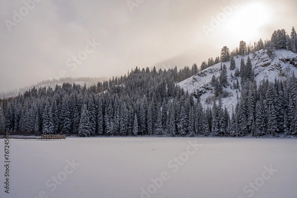 Obraz Winter at Silver Lake