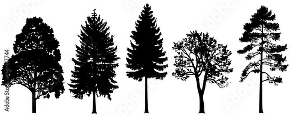 Fototapeta Realistic trees in black and white color, nature park silhouette icons. Different trees and shrubs of coniferous and deciduous forest with grass meadows. png on transparent background