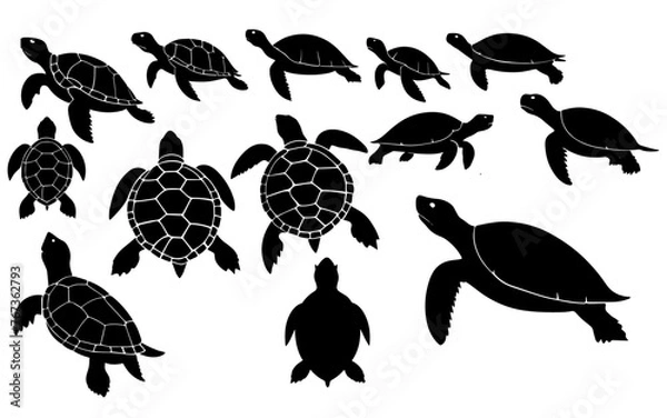 Obraz Set of a turtle silhouette vector