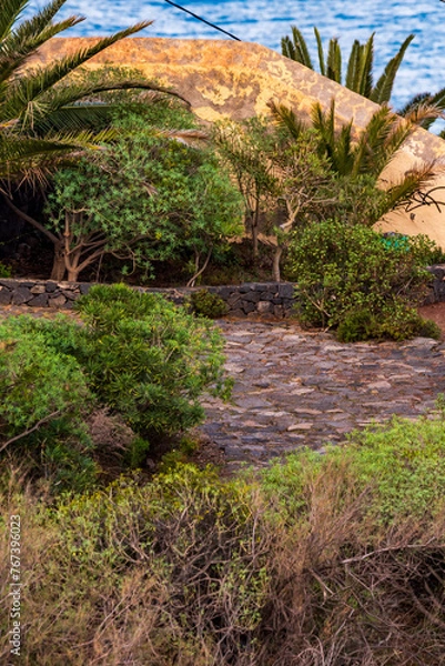 Obraz Rambla de Castro en el municipio de los Realejos, Tenerife.