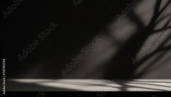 Fototapeta Abstract studio black background for product presentation. Empty room with shadows of window and flowers and palm leaves . 3d room with copy space. Summer concert. backdrop. beauty product placement.