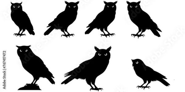 Fototapeta Set of a owl  silhouette vector