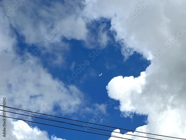 Fototapeta 夏空を飛ぶ飛行機