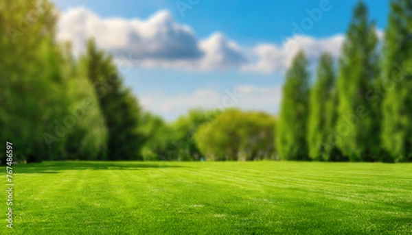 Fototapeta Blurred background image of trimmed lawn surrounded by trees against a blue sky on a sunny day. 