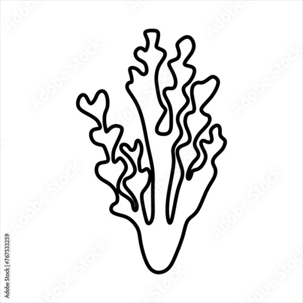 Fototapeta Outline Algae Plant Abstract Vector Element