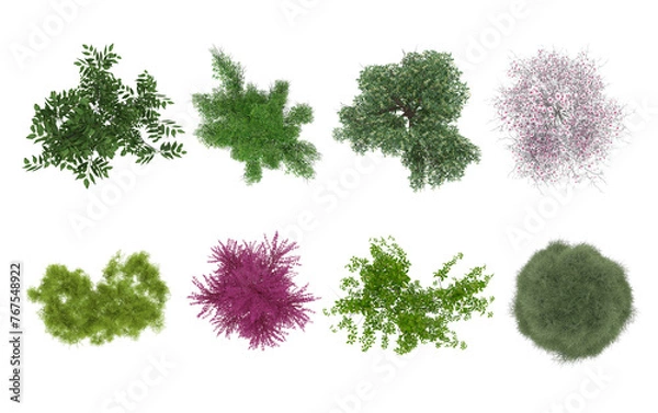 Fototapeta Plant & Tree overhead / top view isolated on white background perfect use for colour floor plans as symbols and icons