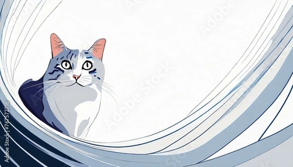 Obraz cat on a white background