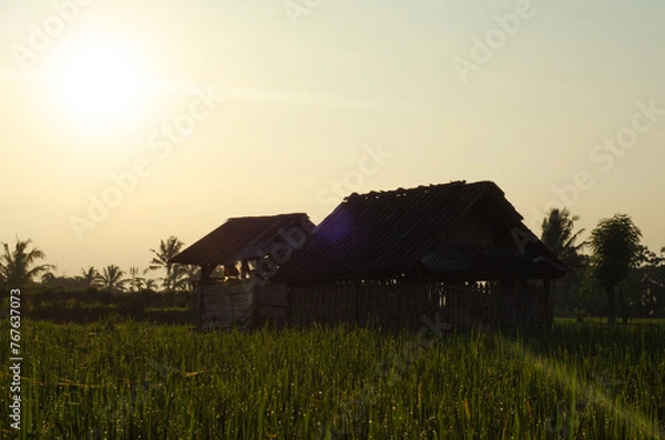 Fototapeta The scene of a hut in the middle of a rice field in Indonesia with warm sunlight, captured with low exposure.