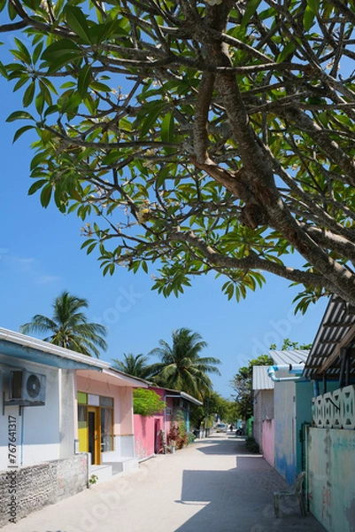 Fototapeta Beautiful local village at Mathiveri island. Mathiveri is one of the westernmost islands in the Maldives.