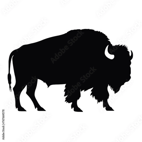 Obraz silhouette  of American bison, or buffalo