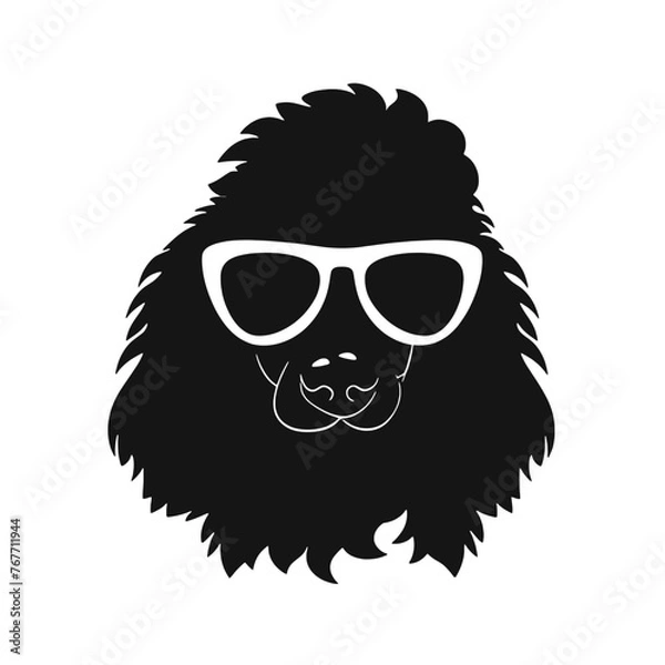 Obraz poodle Silhouette 