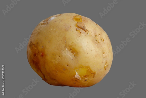 Obraz Tuber, root of potato vegetable.