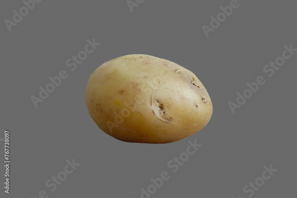 Obraz Tuber, root of potato vegetable.