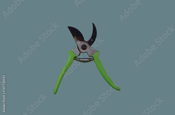 Obraz Scissors for cutting bushes and branches.