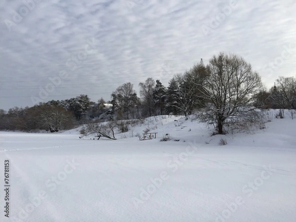 Obraz A river in winter