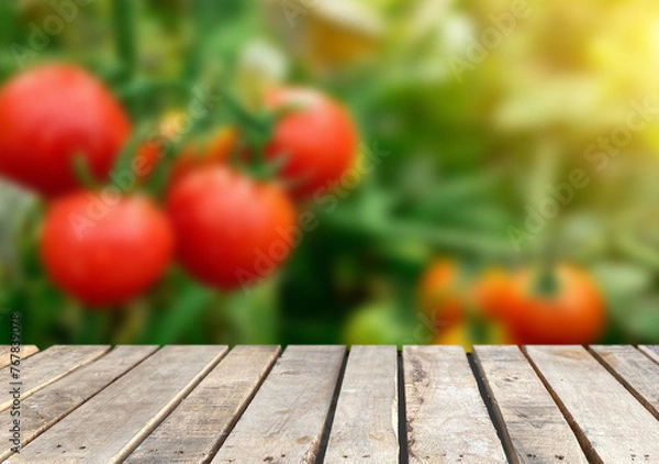 Fototapeta Wooden table top on blur tomato field background in daytime.Harvest rice or whole wheat.For montage product display or design key visual layout.View of copy space.