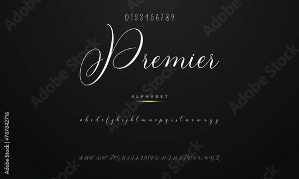 Obraz Lettering signature font isolated on background. brus style alphabet. Vector logo letters.