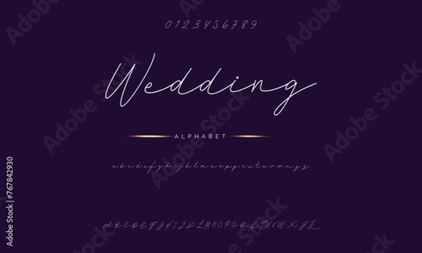 Obraz Lettering signature font isolated on background. brus style alphabet. Vector logo letters.