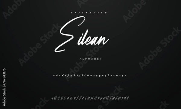 Obraz Lettering signature font isolated on background. brus style alphabet. Vector logo letters.