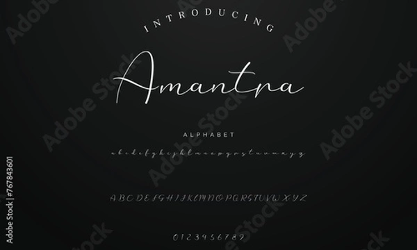 Obraz Lettering signature font isolated on background. brus style alphabet. Vector logo letters.