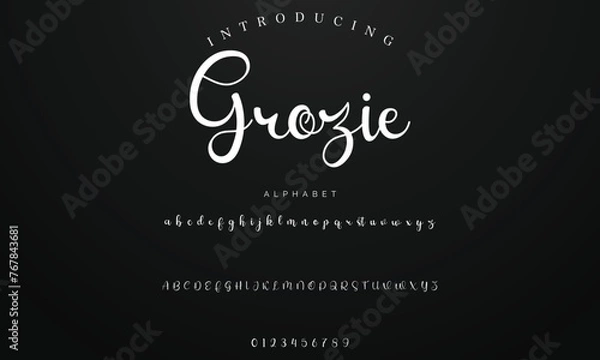 Obraz Lettering signature font isolated on background. brus style alphabet. Vector logo letters.