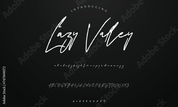 Obraz Lettering signature font isolated on background. brus style alphabet. Vector logo letters.