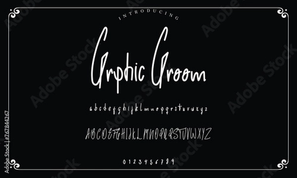 Obraz Lettering signature font isolated on background. brus style alphabet. Vector logo letters.