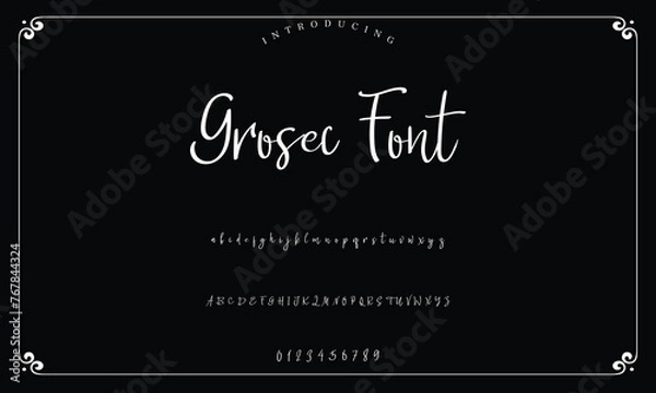 Obraz Lettering signature font isolated on background. brus style alphabet. Vector logo letters.