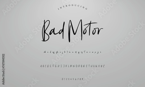 Obraz Lettering signature font isolated on background. brus style alphabet. Vector logo letters.
