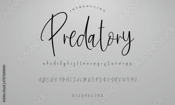 Obraz Lettering signature font isolated on background. brus style alphabet. Vector logo letters.