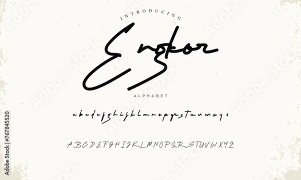 Obraz Lettering signature font isolated on background. brus style alphabet. Vector logo letters.