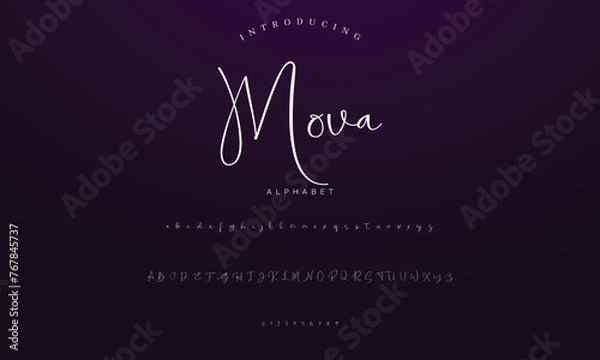 Obraz Lettering signature font isolated on background. brus style alphabet. Vector logo letters.