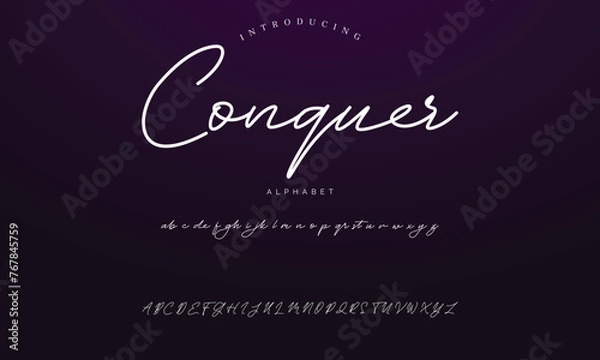 Obraz Lettering signature font isolated on background. brus style alphabet. Vector logo letters.