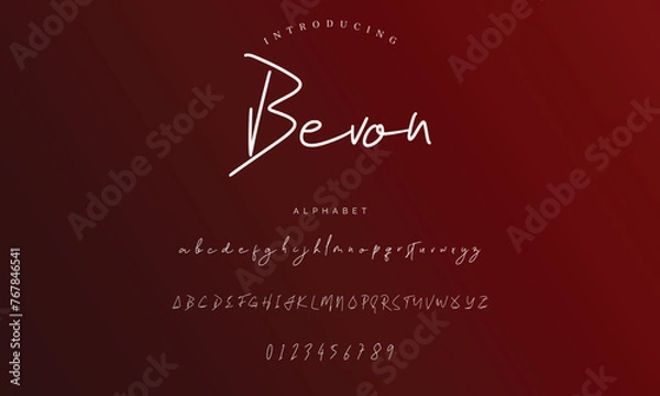 Obraz Lettering signature font isolated on background. brus style alphabet. Vector logo letters.