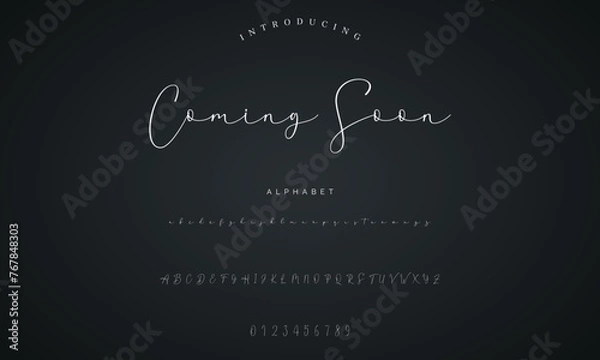 Obraz signature Font Calligraphy Logotype Script Brush Font Type Font lettering handwritten