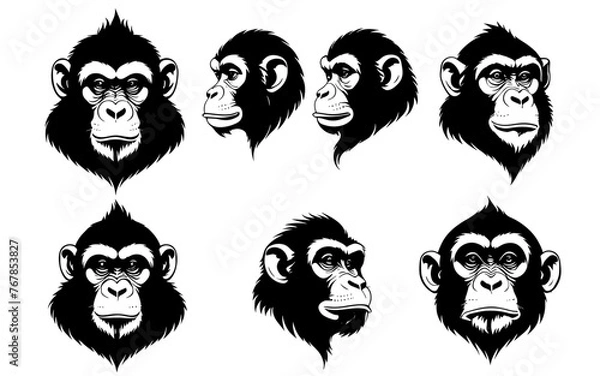 Obraz set of a monkey head silhouette vector 