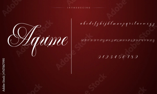 Obraz signature Font Calligraphy Logotype Script Brush Font Type Font lettering handwritten