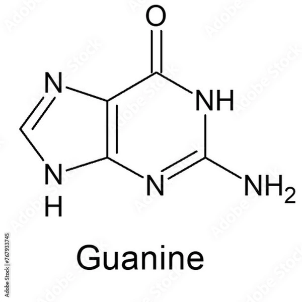 Fototapeta structure of Guanine 