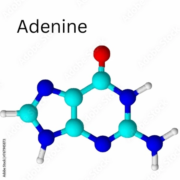 Obraz Adenine 3D
