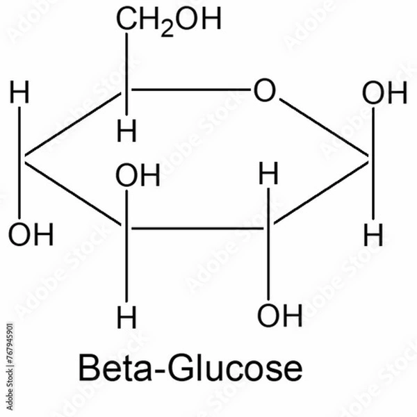 Obraz Structure of beta-Glucose