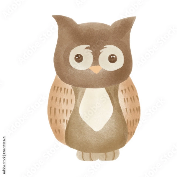 Obraz Owl